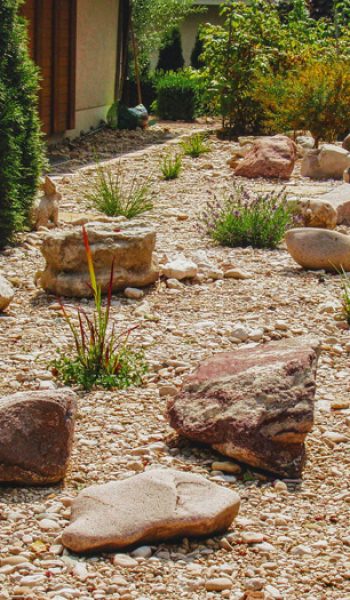 Gartenplatten-biotp-zwingen-etc-106